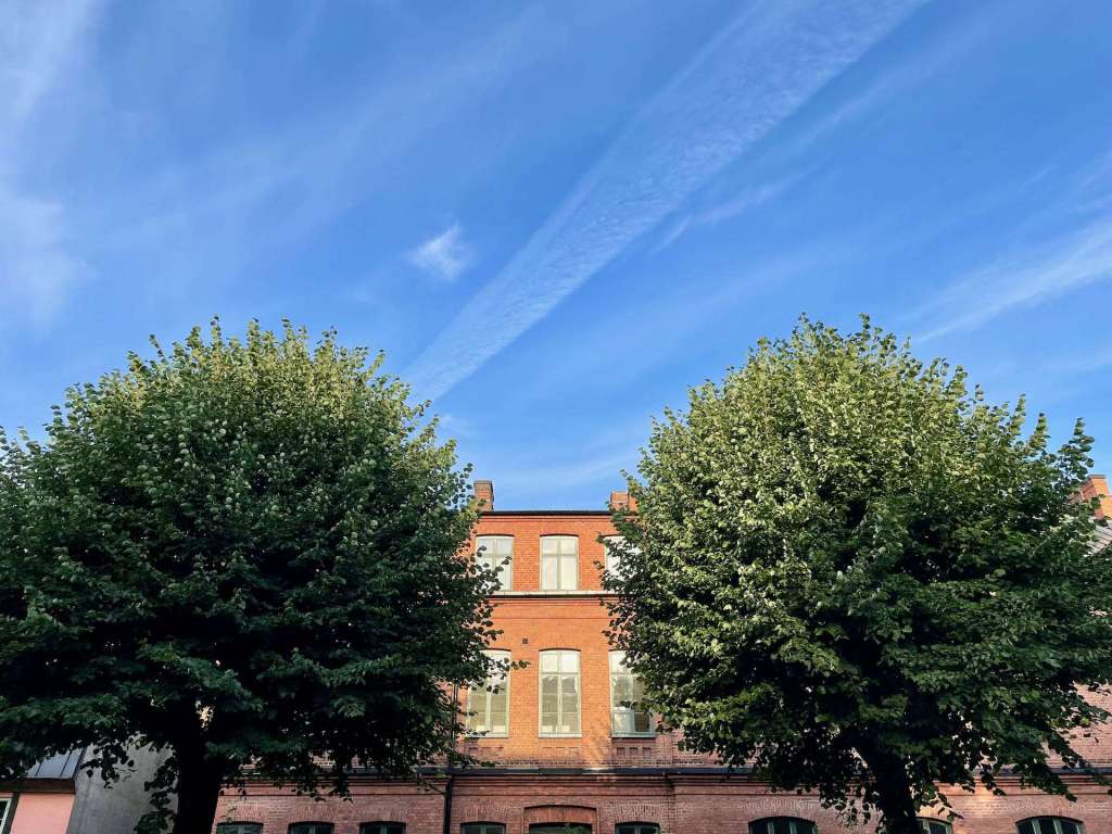 Två stora träd med gröna löv framför en tegelbyggnad under en klar blå himmel.