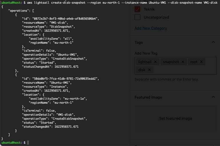 Snapshot av systemdisken i Amazon&nbsp;Lightsail