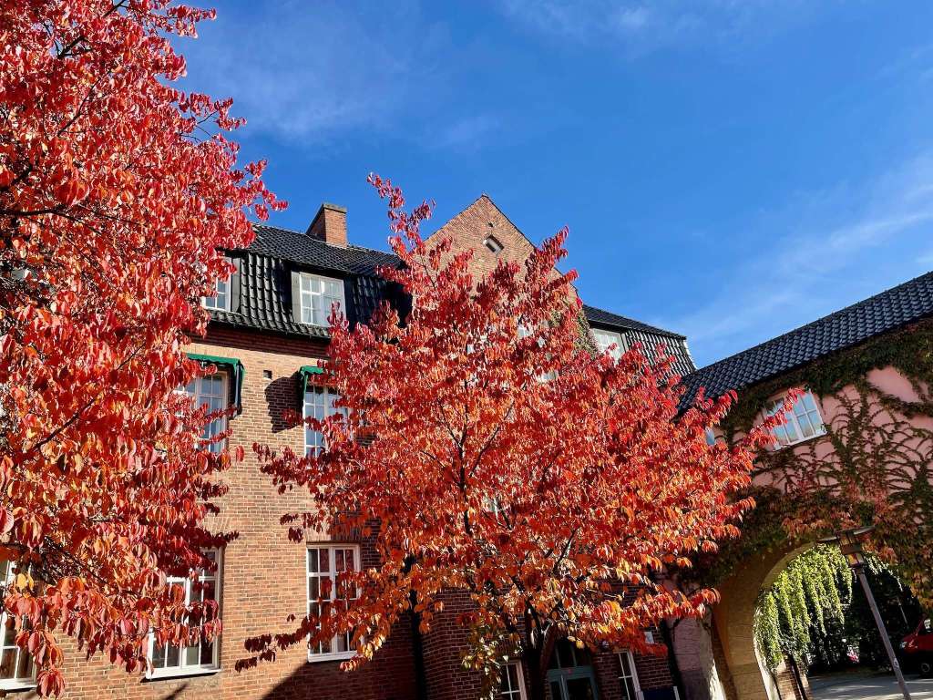 Höstfärger i Lund.