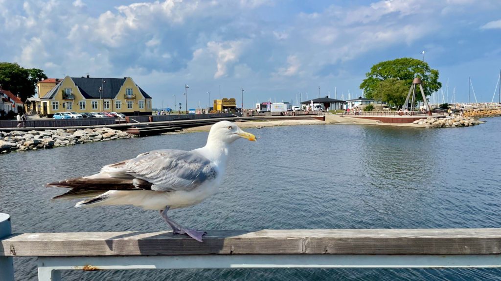 Utflykt till Simrishamn och&nbsp;Smygehuk