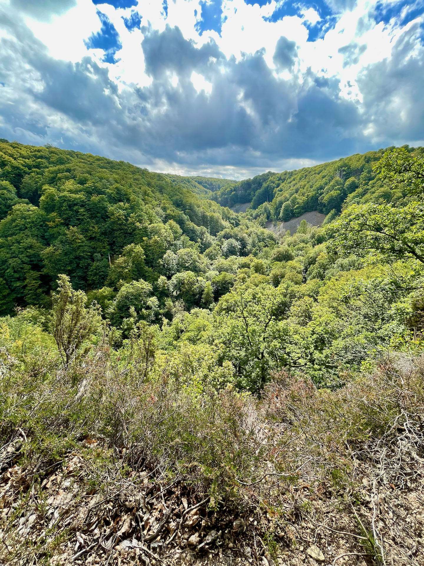 Utsikt över en grön dalgång omgiven av branta sluttningar och molnigt himmel, med riklig vegetation och skog.