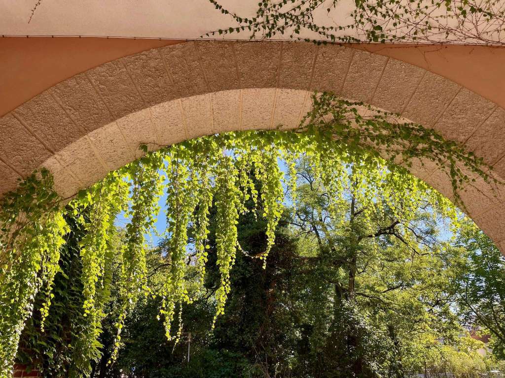 Vacker grönska i&nbsp;Lund